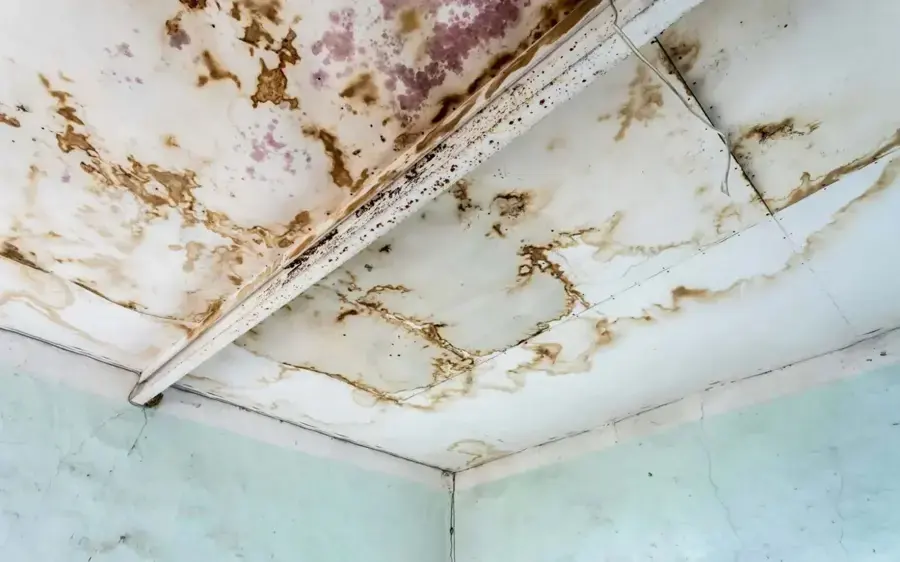 Water stains spreading across a ceiling after a leak in a Miami Beach home