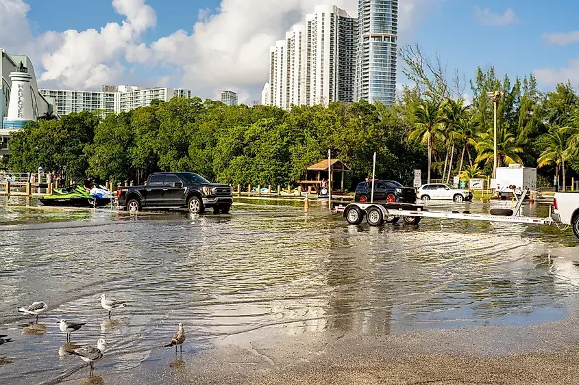 Tidal water flooding a low street during a king tide in Miami Beach